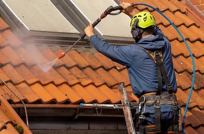 Démoussage et hydrofuge de toiture à Guenroc